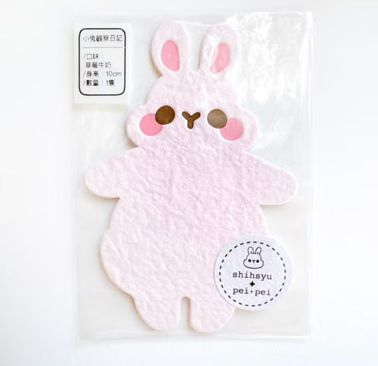 Little Rabbit Observation Diary- Handmade Paper Shape Card
